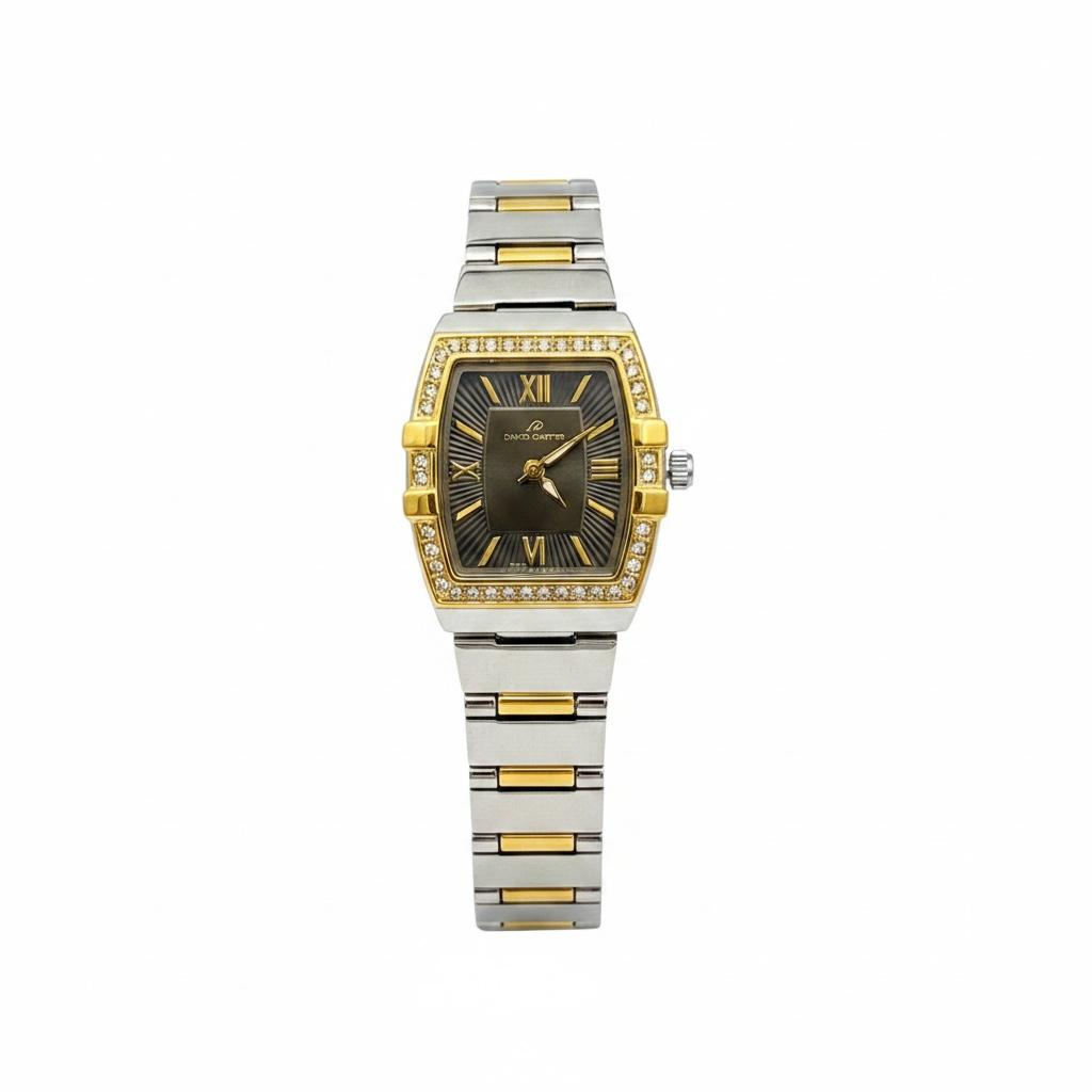 Daniel Powter Women’s Elegant Watch
